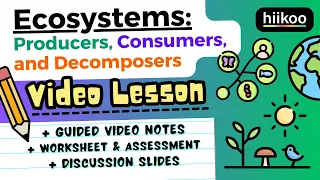 Ecosystems & Food Webs for Kids! 🌱🪱🦅 (Producers, Consumers, Decomposers)