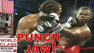 Boxing Video Series | Vital Targets | Punch To The Jaw