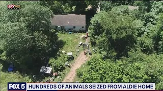 Hundreds of animals seized from Virginia home in hoarding case | FOX 5 DC