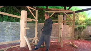 Xuan Wing Chun