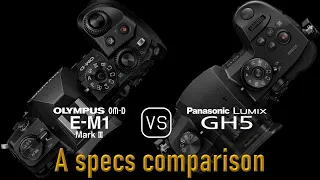 Olympus OM-D E-M1 Mark III vs. Panasonic Lumix GH5: A Comparison of Specifications