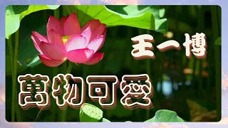 王一博-萬物可愛【KTV 歌詞字幕】