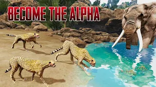 The Cheetah - Animal Simulator Part 2