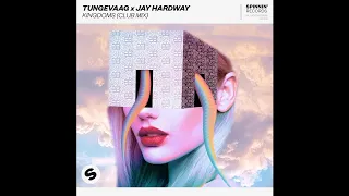 Tungevaag & Jay Hardway - Kingdoms (Extended Club Mix)