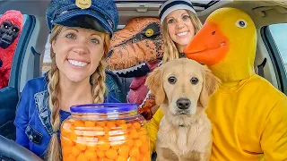 Police STEALS Puppy From Rubber Ducky in Car Ride Chase!