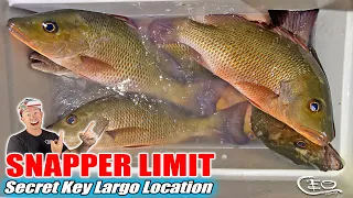 SNAPPER LIMIT in SECRET Key Largo Location in Florida Keys