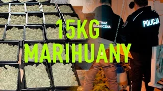 15kg marihuany oraz spora uprawa w domu w Mysłowicach