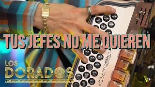 Los Dorados - Tus Jefes No Me Quieren (En Vivo)