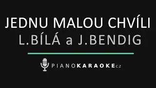 Lucie Bílá & Jan Bendig - Jednu malou chvíli | Piano Karaoke Instrumental