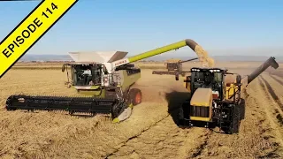 Claas Lexion 8600 Harvesting Rice | 2019 California Rice Harvest!