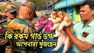 Galiff Street Pet Market Kolkata | Dog Puppy Price Update | Dog | dog market in kolkata | Dog Price