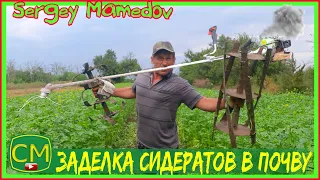 🌿Заделка сидератов в почву. РАЗНЫЕ СПОСОБЫ.