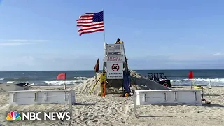Five suspected shark attacks off of New York beaches over the past two days