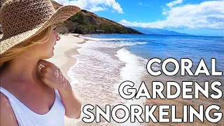Coral Gardens | Maui Snorkeling Spots HAWAII | Best places to snorkel