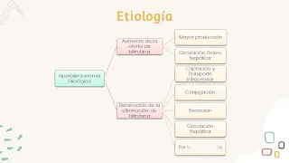 Ateneos Julio 2022: Hiperbilirrubinemia Neonatal