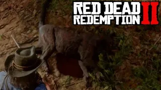 Легендарная пантера Гиагуаро - Red Dead Redemption 2 #34