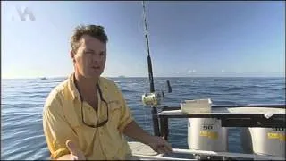 How to rig for marlin