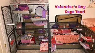 Valentine's Day Rat Cage Tour!