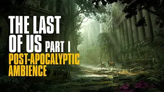 The Last of Us Part 1  I   Cinematic Post-Apocalyptic Ambience  I  4K