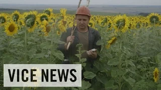 Exclusive VICE News Footage of MH17 Aftermath: Russian Roulette (Dispatch 60)