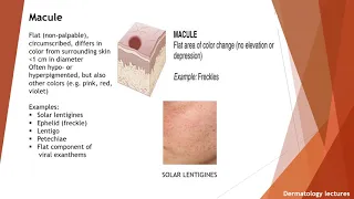 Primary and Secondary Skin Lesions I Dermatology Lectures