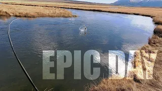 EPIC Eastern Sierra Fly Fishing - Free Form Fly Fisher