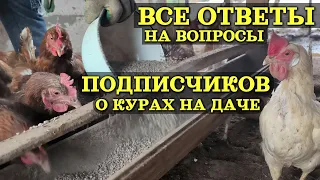 Курятник на даче - ответы на важные вопросы подписчиков