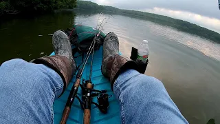 The Best Topwater Bite I've Ever Had!!  Explosive Whopper Plopper Action, BIG BASS