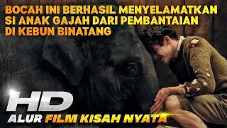 BOCAH DAN GAJAH ❗️❗️❗️FILM INI TERINSPIRASI DARI KISAH NYATA