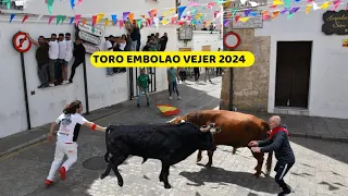 Toro Embolao 2024  Vejer de la Frontera