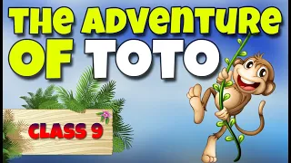 the adventure of toto class 9 | animation | in Hindi | in English | the adventure of toto | summary