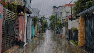 The Sound of Morning Rain, on a Peaceful Vietnamese Village Street. Best Ambience Sounds.