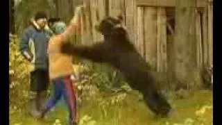 Bear Attacks Russian Woman (I Wantz To Eat You!)