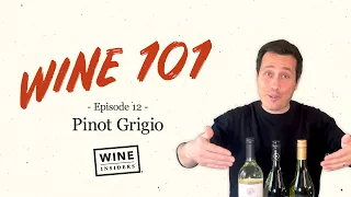 Pinot Grigio 101