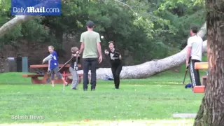 Children of Angelina Jolie and Brad Pitt, playing with James Haven in the park