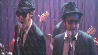 Stand By Your Man -Blues Brothers