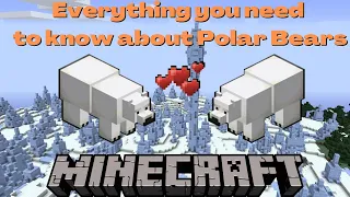 Everything you need to know about Polar Bears in Minecraft