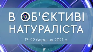 Відкриття Всеукраїнського юнацького фестивалю «В об’єктиві натураліста 2021»