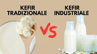Differenze tra Kefir tradizionale e kefir industriale
