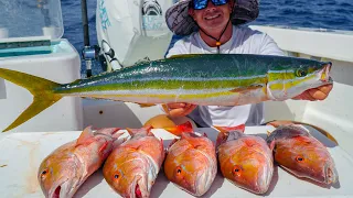 GIANT Rainbow Runner & Snapper! Catch Clean Cook (Commercial Fishing)