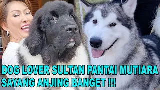 DOG LOVER SULTAN SADIS BANGET KALAU SAYANG SAMA ANJING