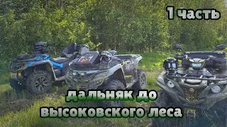 Дальняк до Высоковского леса🤙🏽