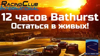 12-ти часовая гонка Bathurst. Горы, кенгуру и бетонные стены.