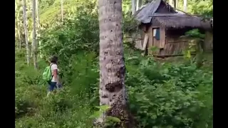 Beautiful Coconut Farm and House