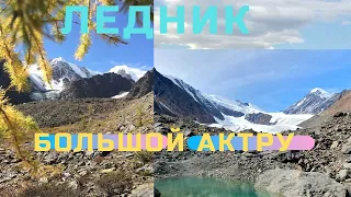 Путь к Леднику Актру|Далина Актру |Горный Алтай |Курай|Сентябрь #горныйалтай#ледникактру#горы