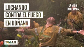 David Beriain se une al cuerpo que lucha contra los incendios en Doñana | La vida en llamas