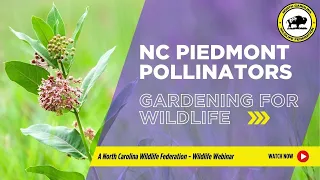 NCWF Webinar on North Carolina Piedmont Pollinators and Gardening for Wildlife (April 2020)