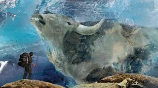 10 AMAZING Creatures Discovered Frozen in Ice