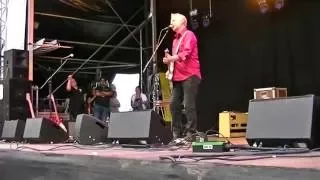 Billy Bragg @ Village Green 2016