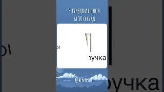 🇹🇷 Флэш-карточки с турецкими словами. 5 слов. #турецкийязык #турецкийдляначинающих #турецкий